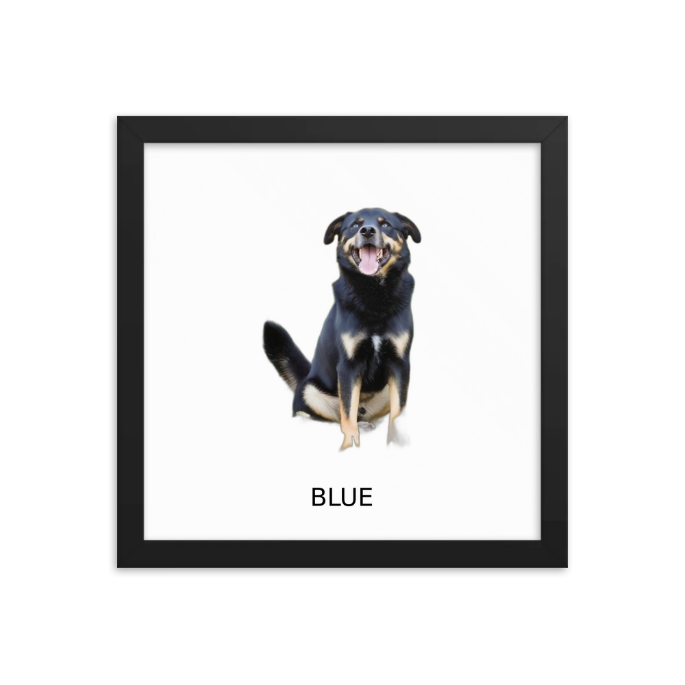 PugMug Custom Blue Framed Print with Your Pet’s Name