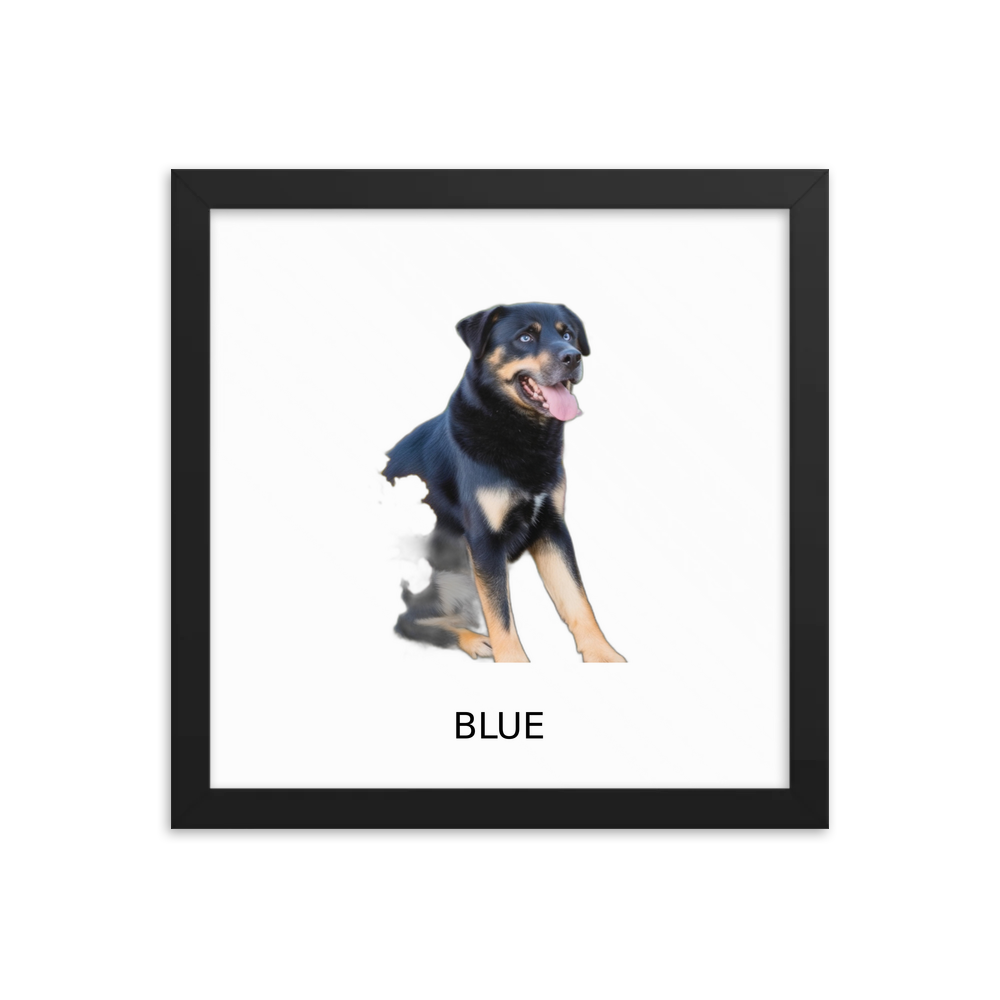 PugMug Custom Blue Framed Print with Your Pet’s Name