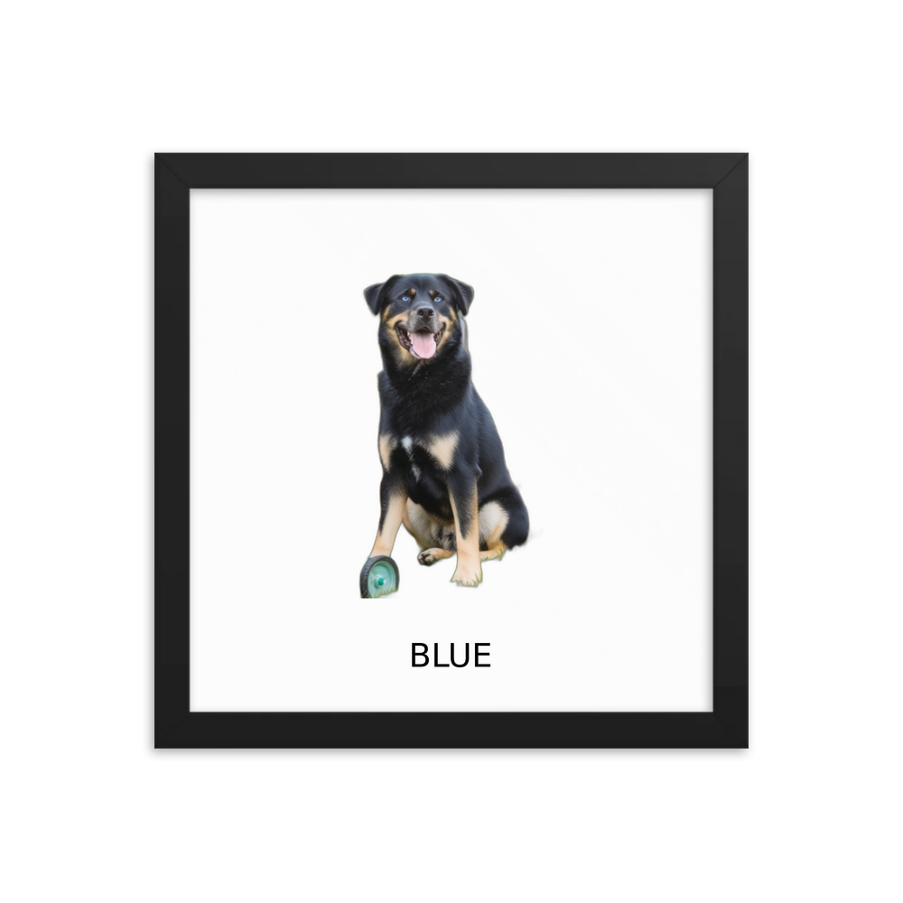 PugMug Custom Blue Framed Print with Your Pet’s Name