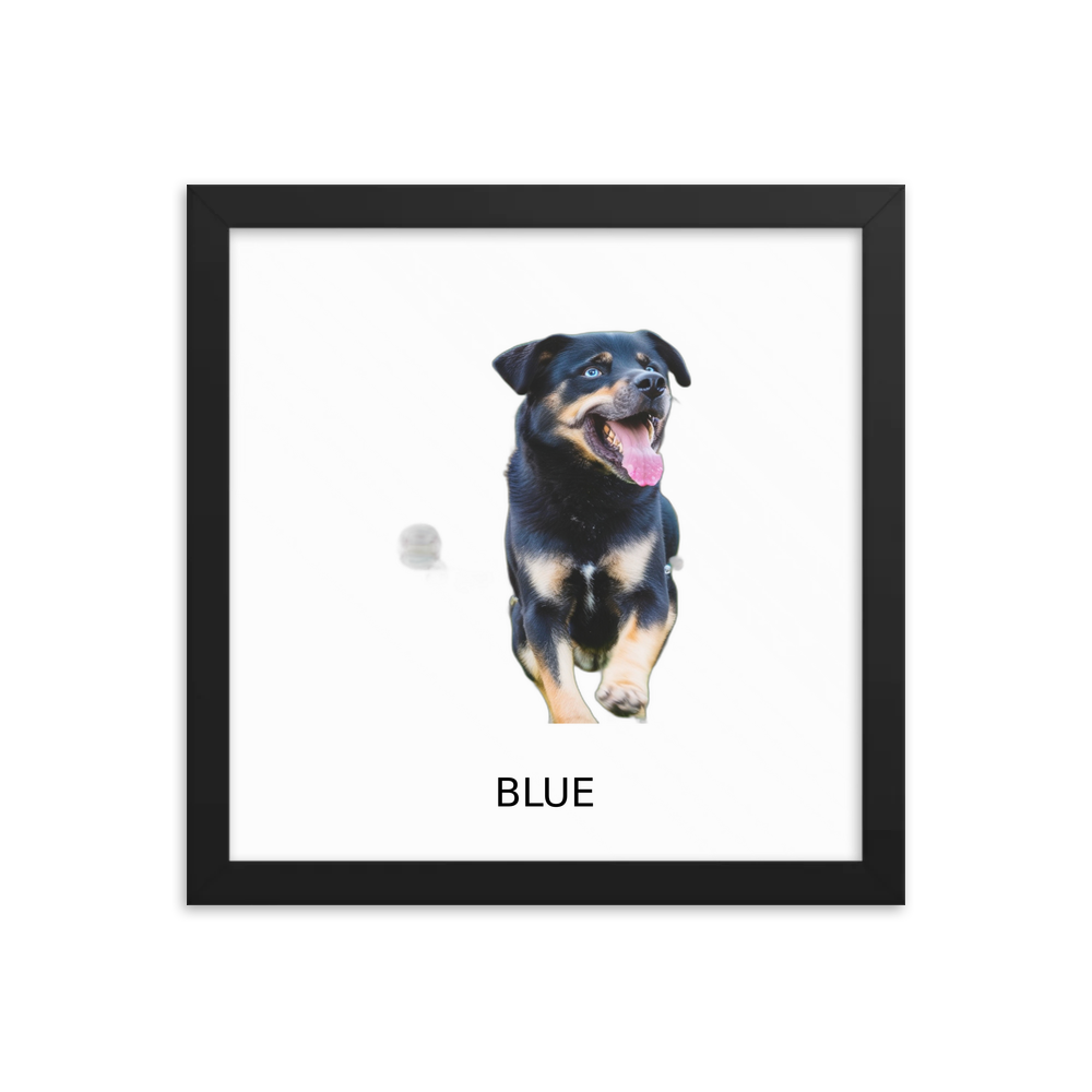 PugMug Custom Blue Framed Print with Your Pet’s Name