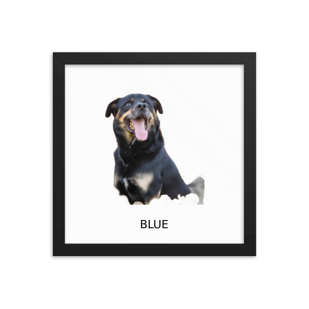 PugMug Custom Blue Framed Print with Your Pet’s Name