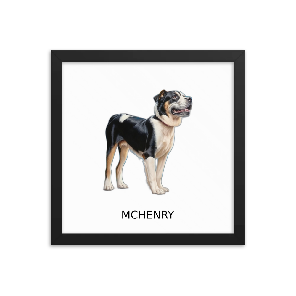 PugMug Custom McHenry Framed Print with Your Pet’s Name