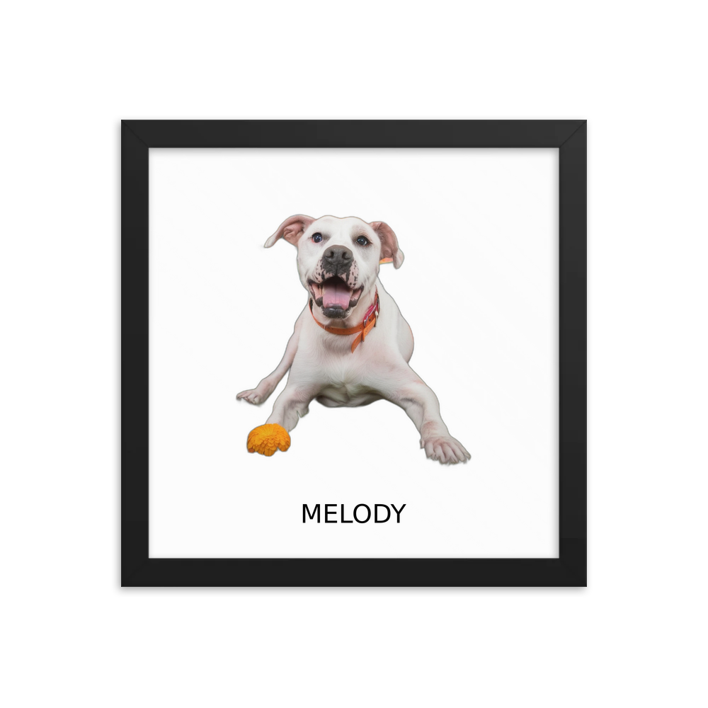 PugMug Custom Melody Framed Print with Your Pet’s Name