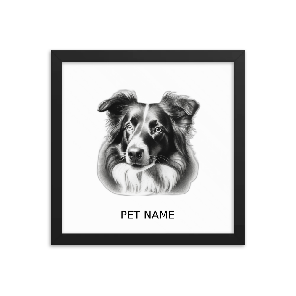 PugMug Custom Border Collie Framed Print with Your Pet’s Name