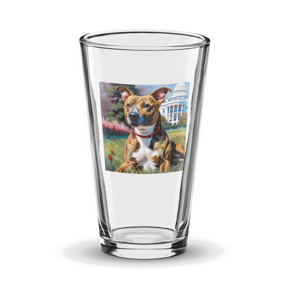 PugMug Custom Tony Hawk Glass Tumbler