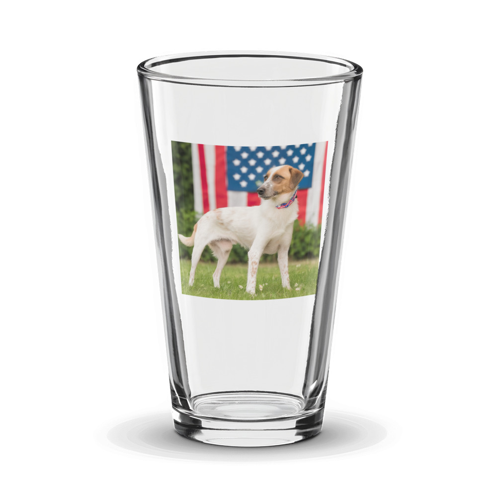 PugMug Custom Hazim Glass Tumbler