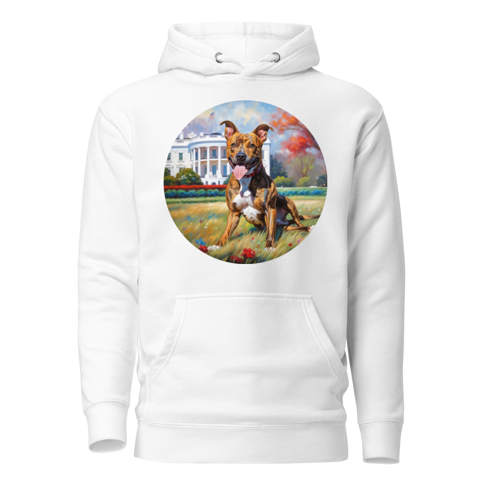 PugMug Custom Tony Hawk Hoodie