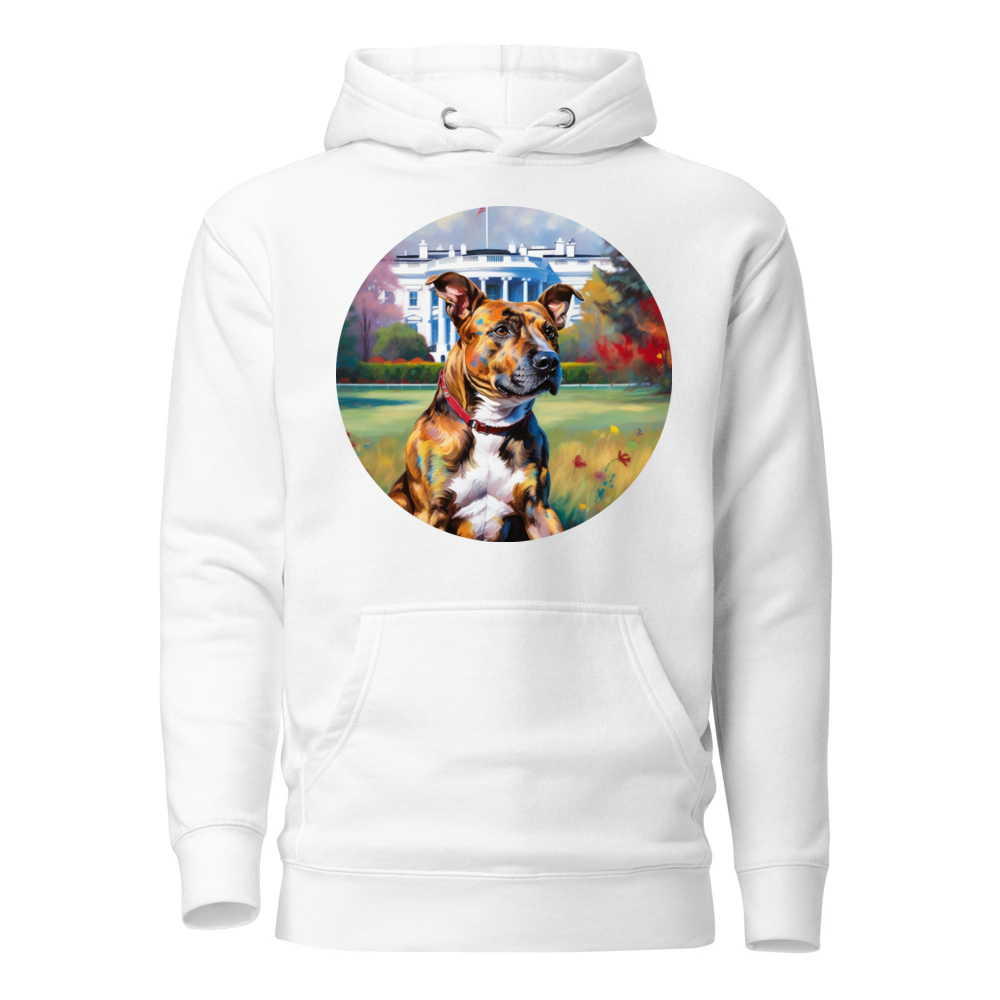 PugMug Custom Tony Hawk Hoodie