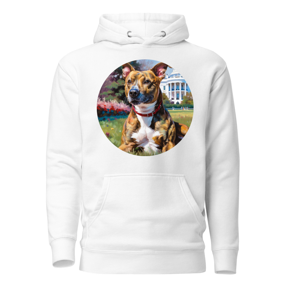 PugMug Custom Tony Hawk Hoodie