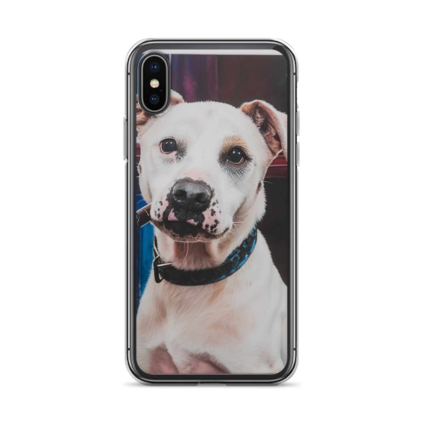PugMug Custom Melody iPhone Case