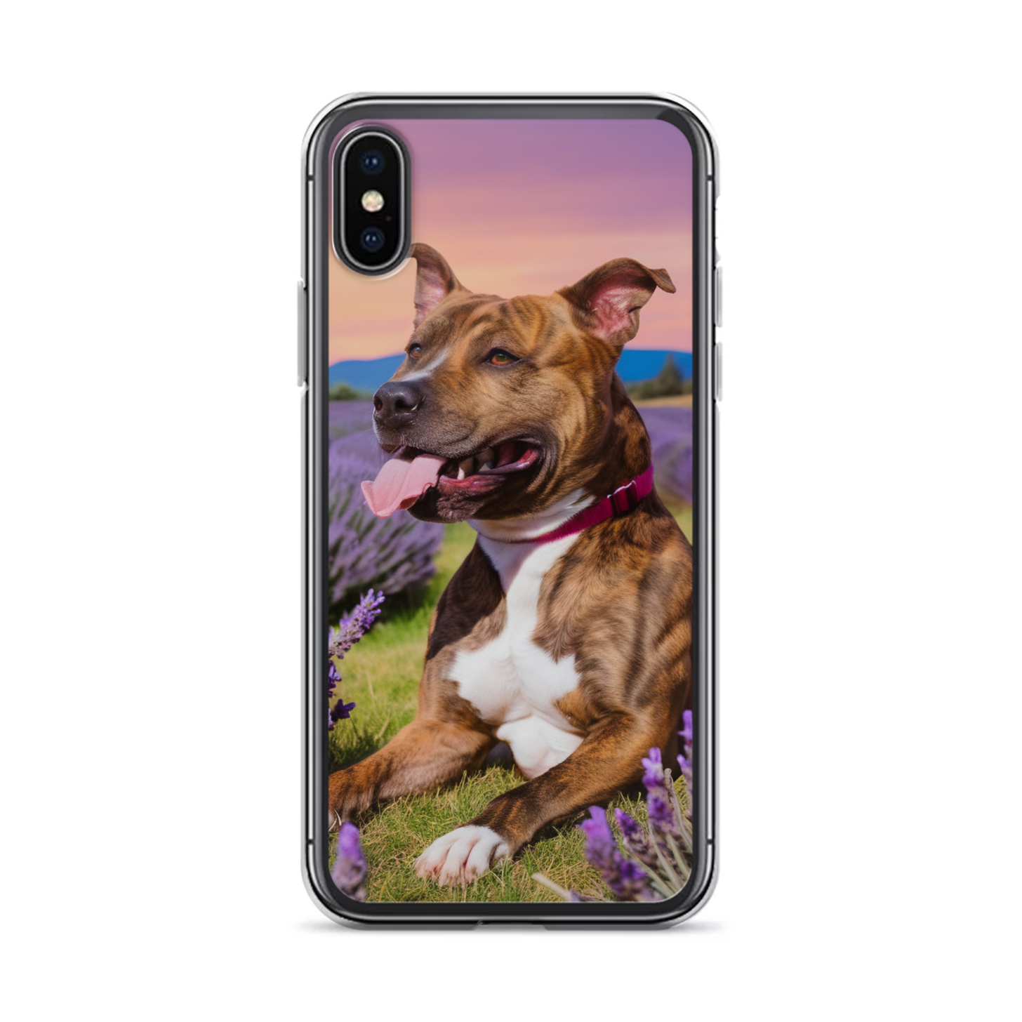 PugMug Custom Tony Hawk iPhone Case