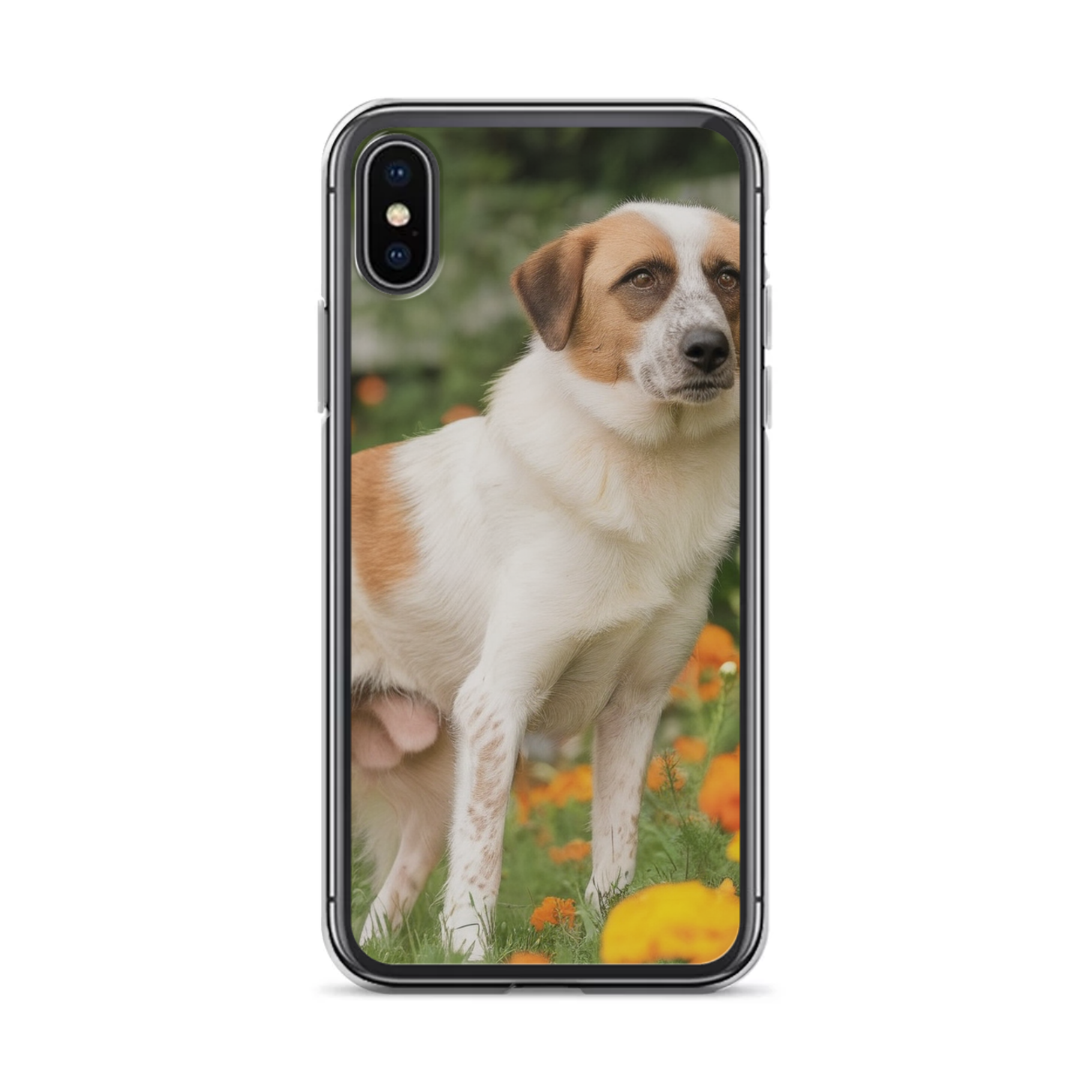 PugMug Custom Hazim iPhone Case