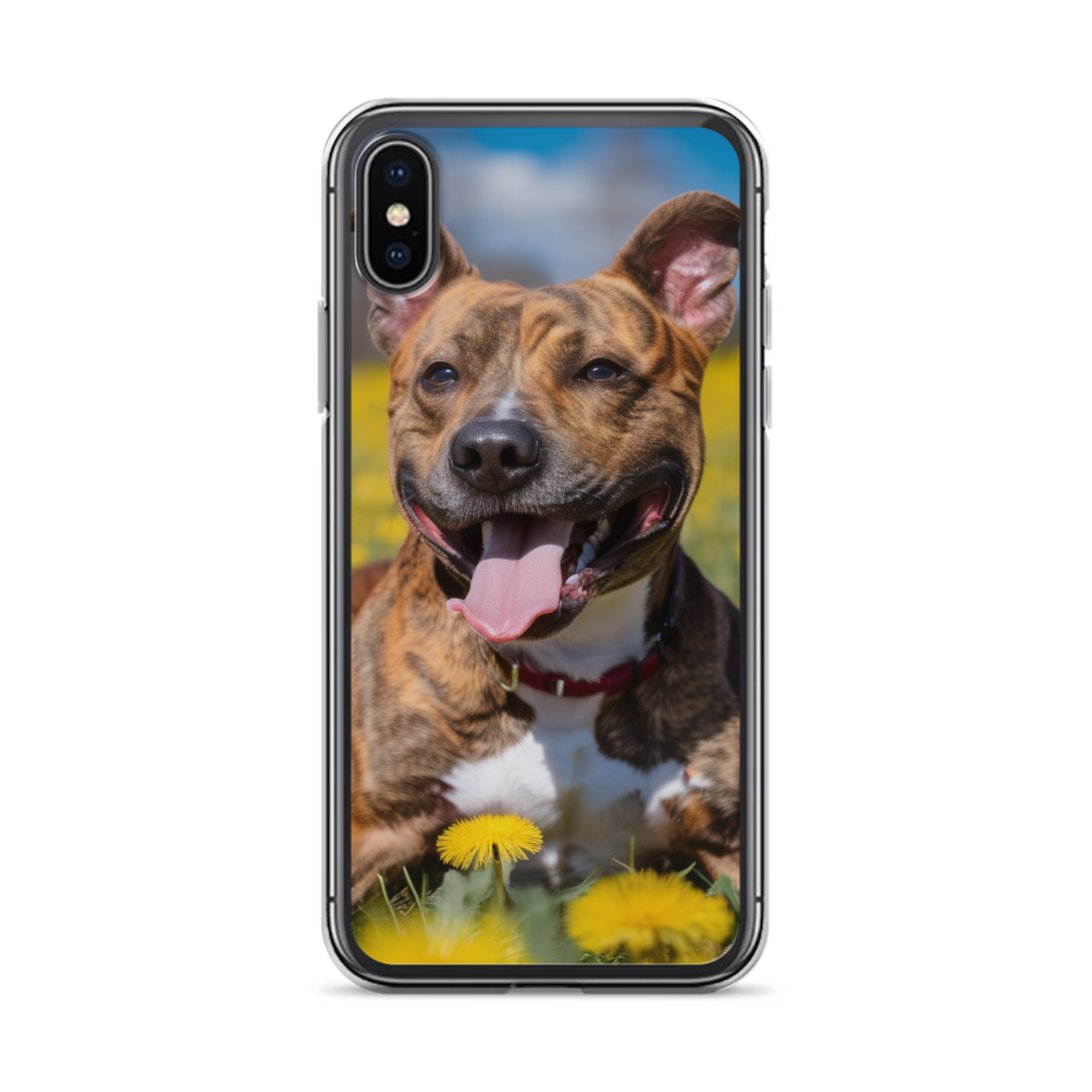 PugMug Custom Tony Hawk iPhone Case