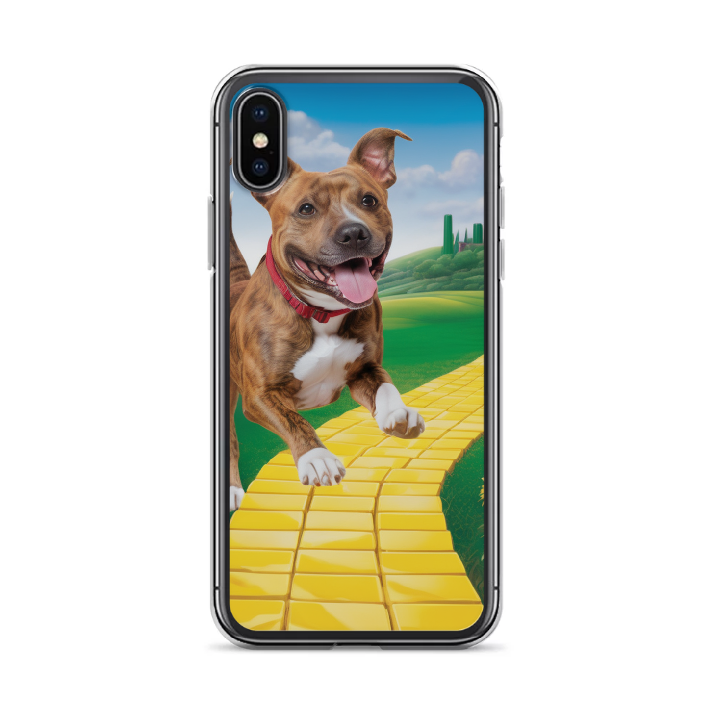 PugMug Custom Tony Hawk iPhone Case