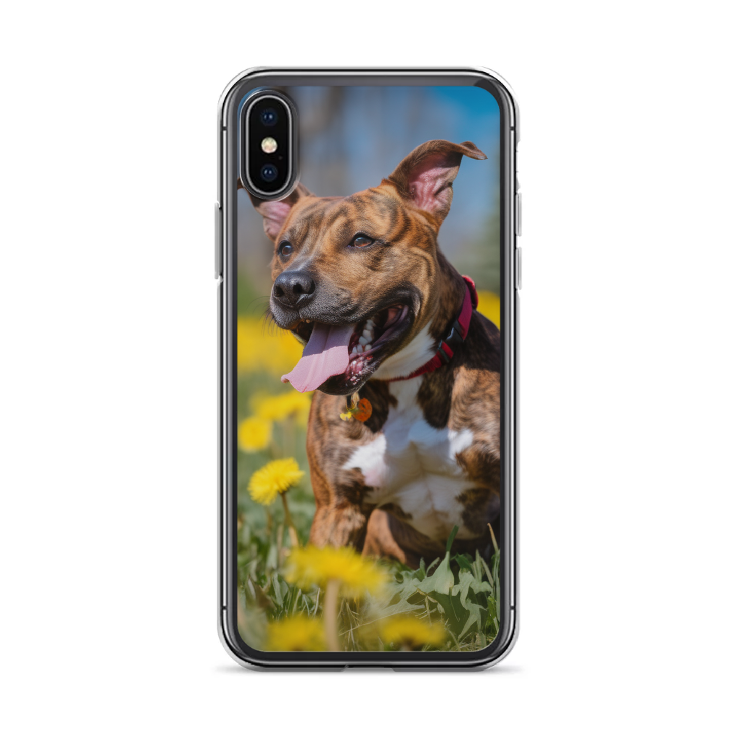 PugMug Custom Tony Hawk iPhone Case