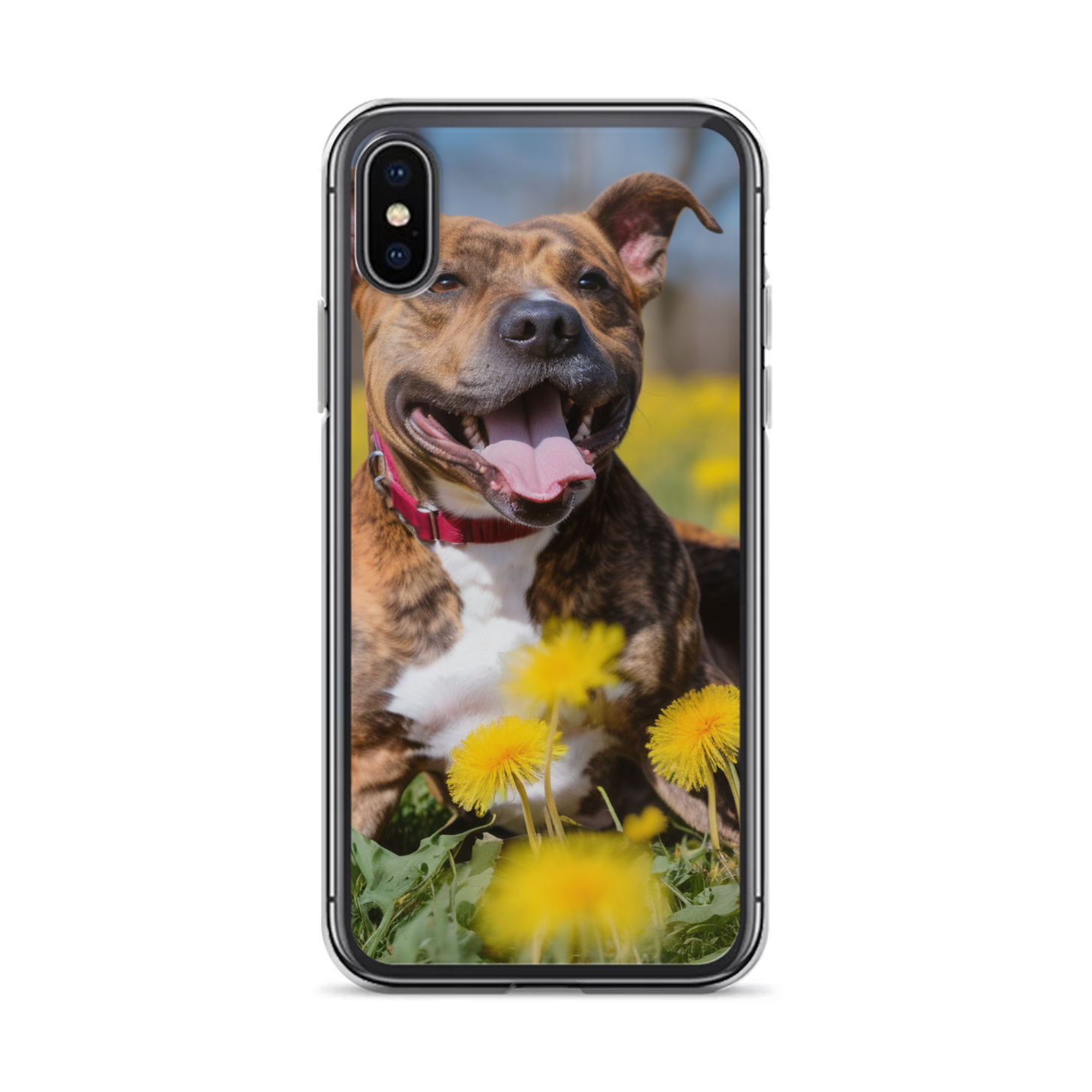 PugMug Custom Tony Hawk iPhone Case