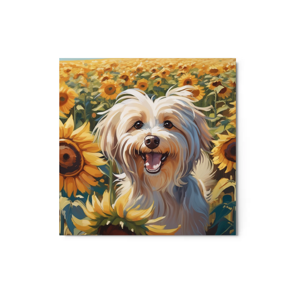 PugMug Custom Tan Havanese Dog Metal Print