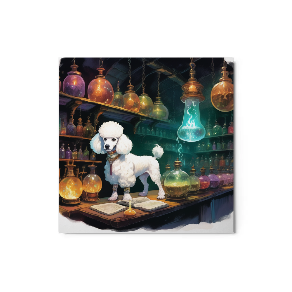 PugMug Custom White Poodle Metal Print