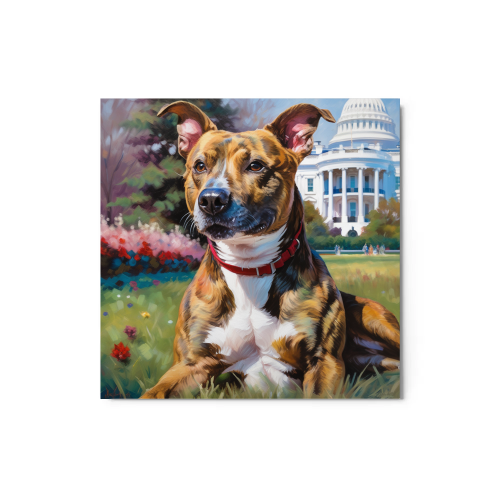 PugMug Custom Tony Hawk Metal Print