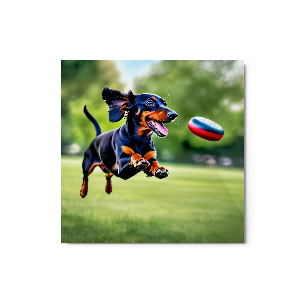 PugMug Custom Black Dachshund Metal Print