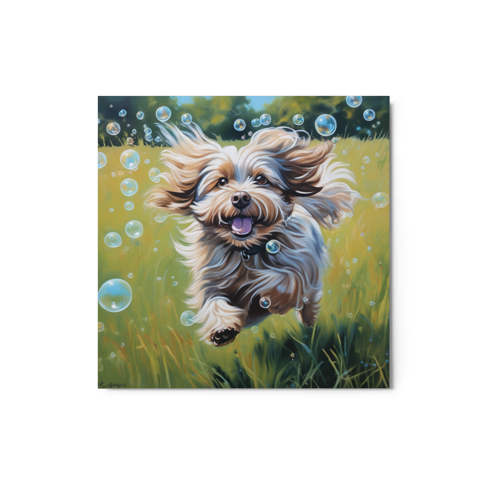 PugMug Custom Tan Havanese Dog Metal Print