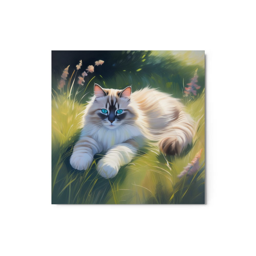 PugMug Custom Tabby Ragdoll Cat Metal Print