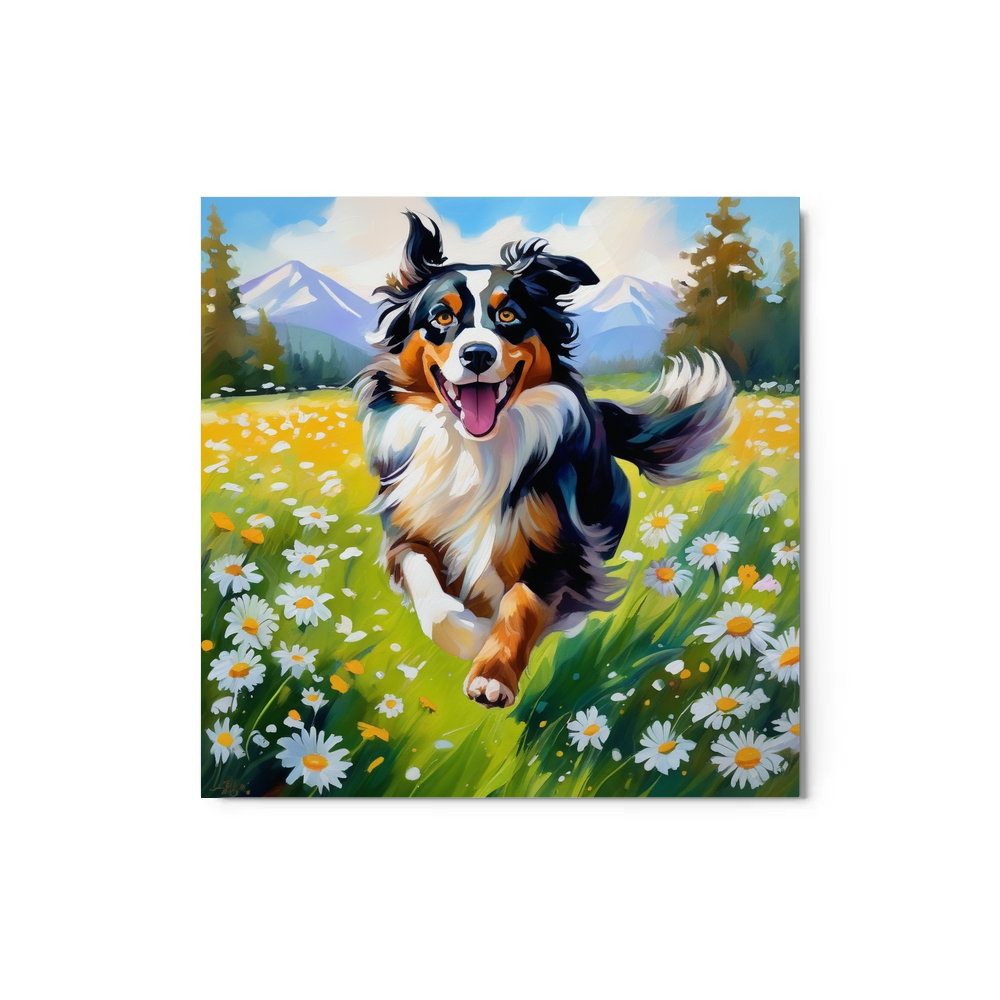 PugMug Custom Miniature American Shepherd Metal Print