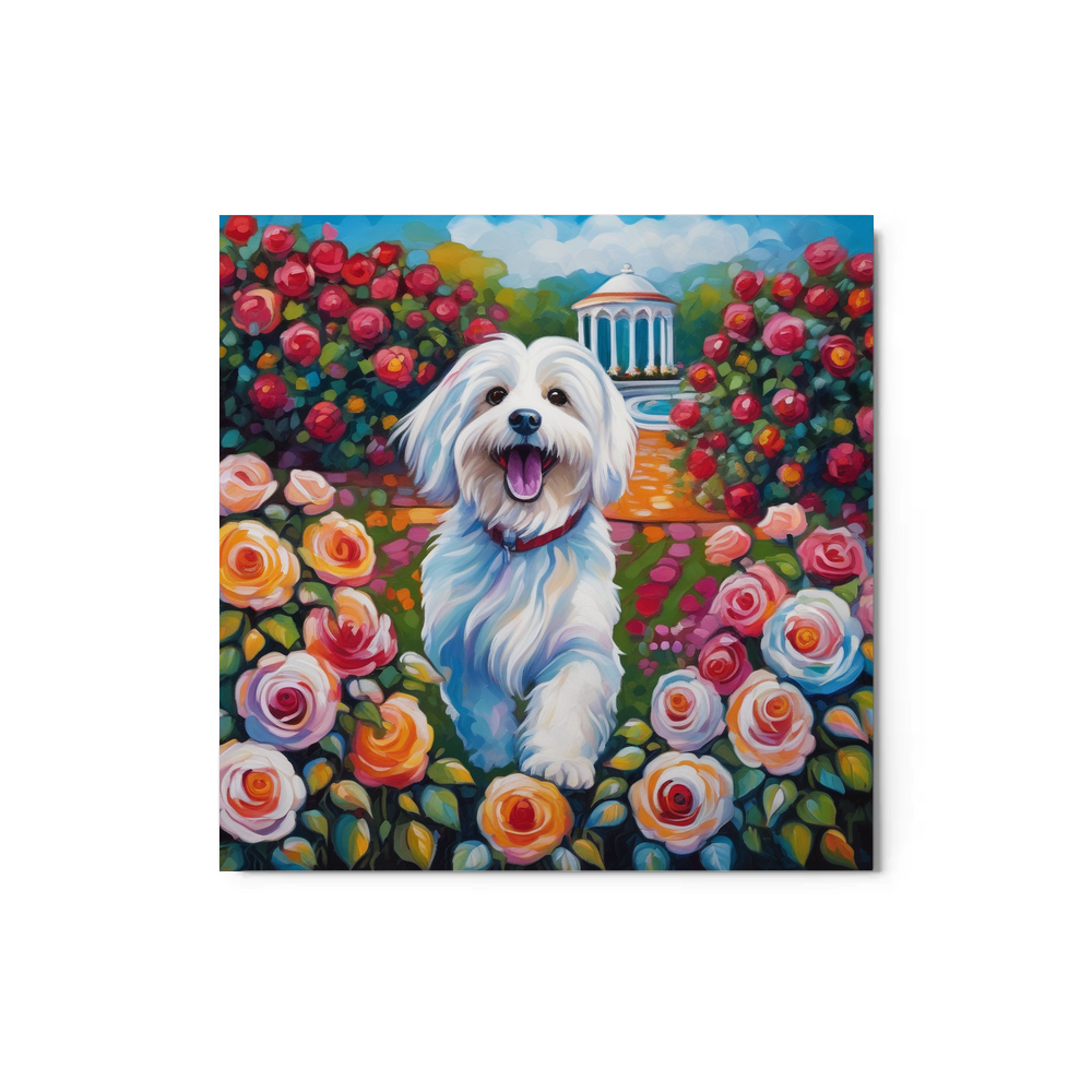 PugMug Custom White Havanese Dog Metal Print