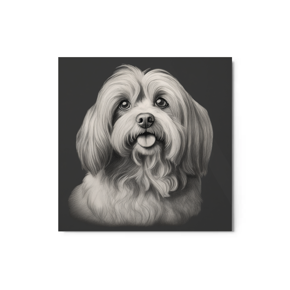 PugMug Custom Tan Havanese Dog Metal Print