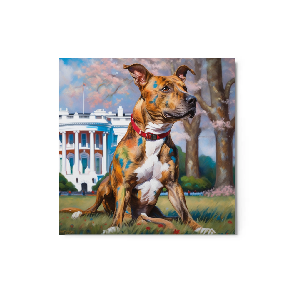 PugMug Custom Tony Hawk Metal Print