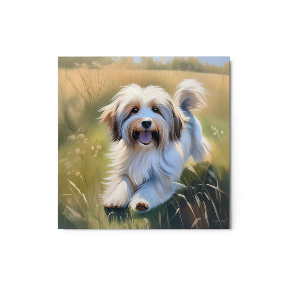 PugMug Custom Tan Havanese Dog Metal Print