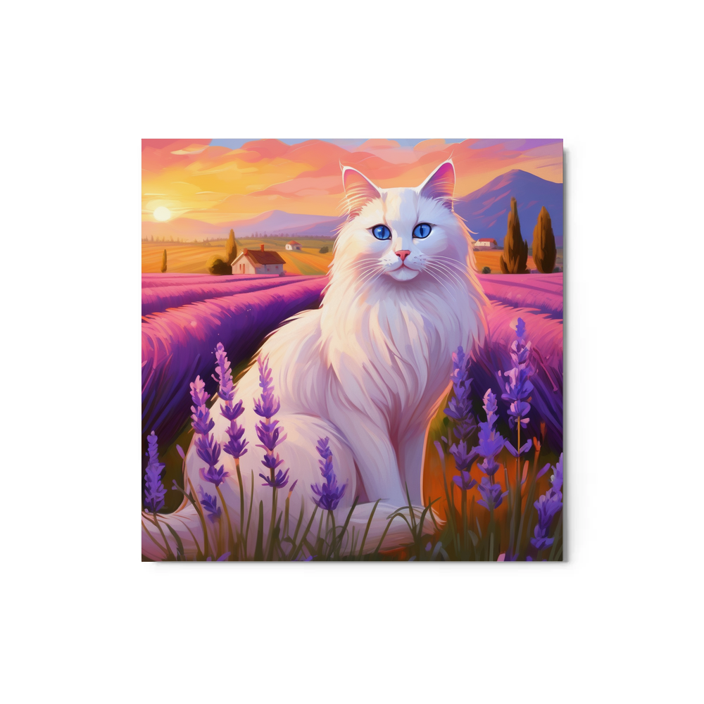 PugMug Custom White Ragdoll Cat Metal Print