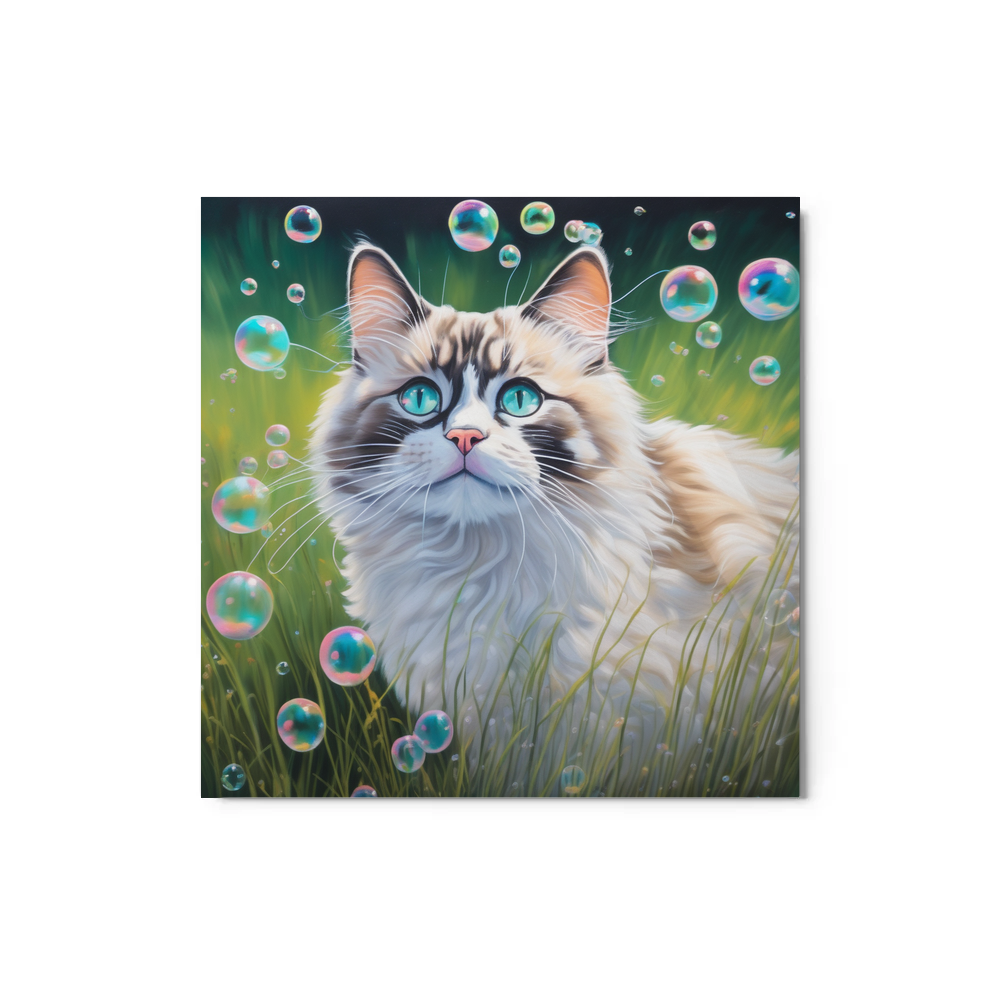 PugMug Custom Tabby Ragdoll Cat Metal Print