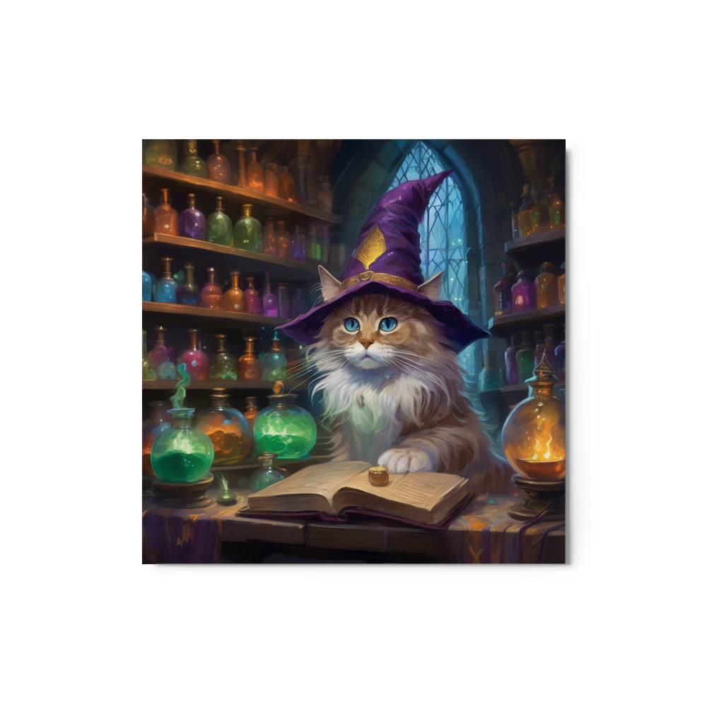 PugMug Custom Tabby Ragdoll Cat Metal Print