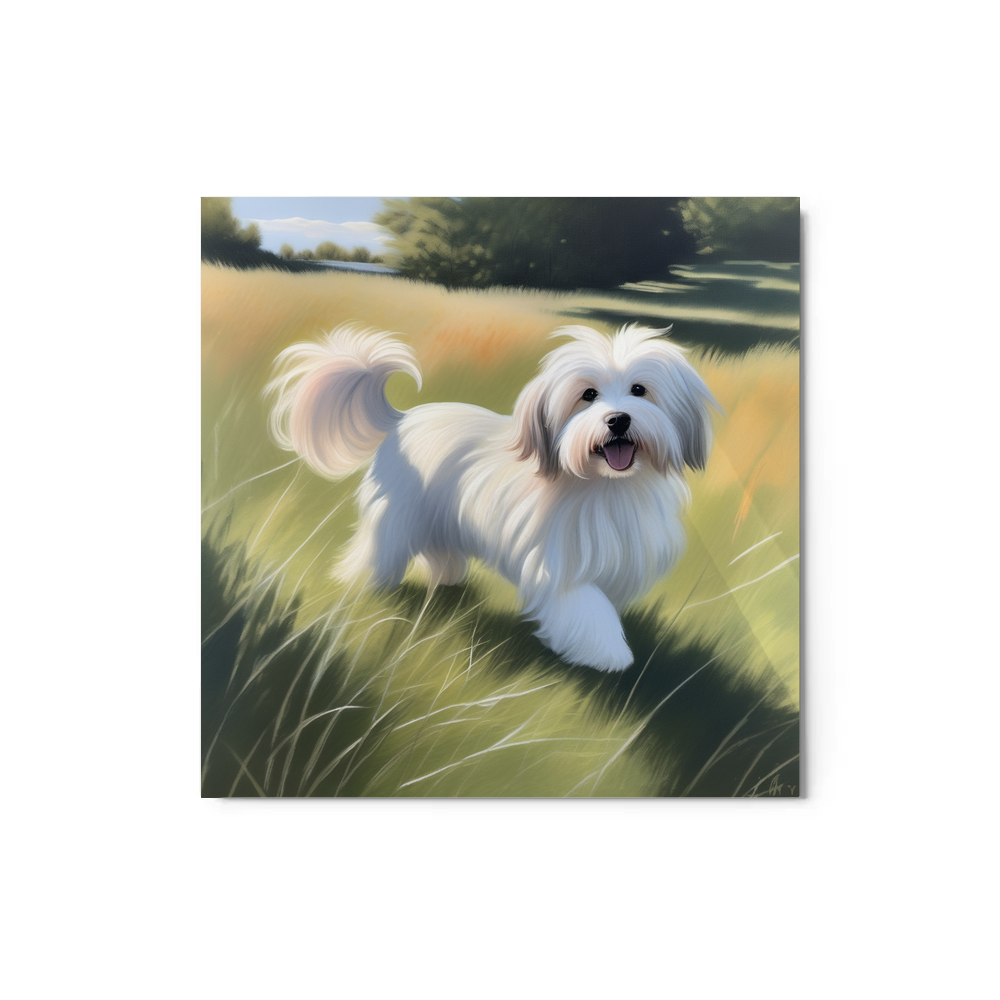 PugMug Custom White Havanese Dog Metal Print
