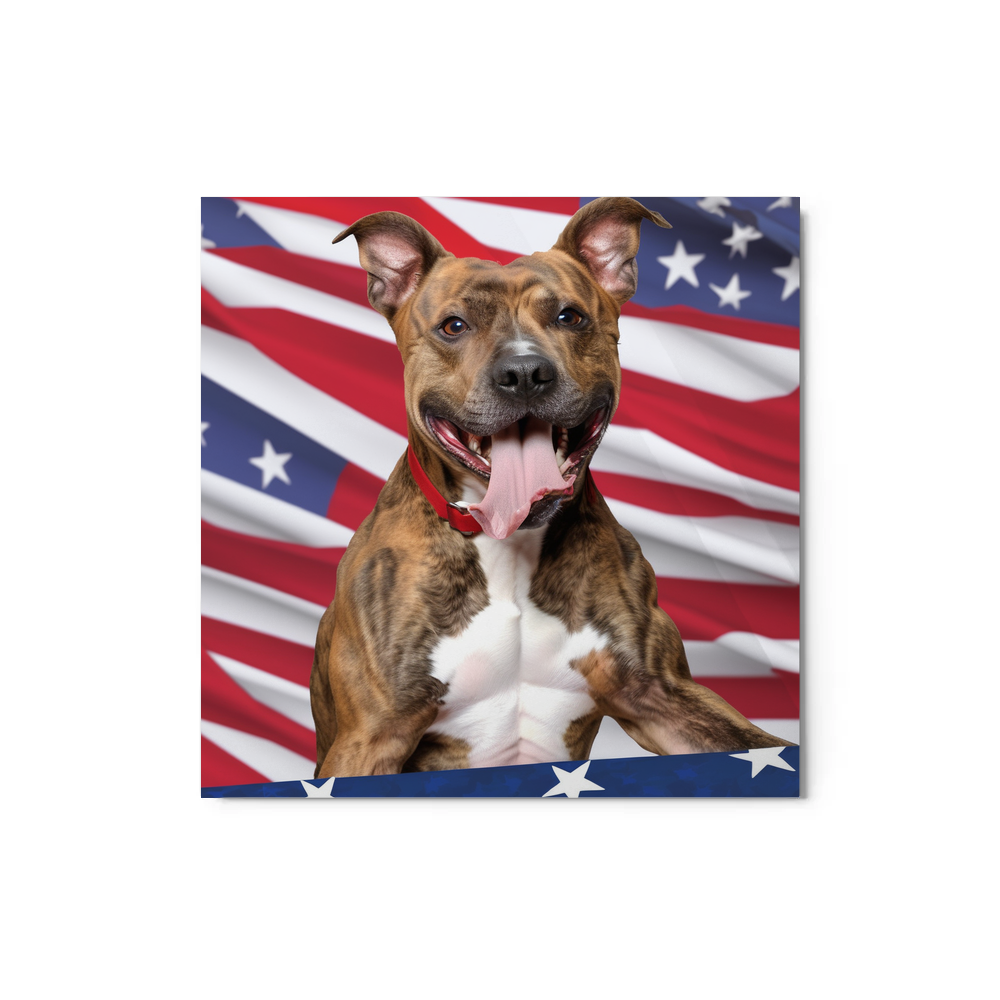 PugMug Custom Tony Hawk Metal Print