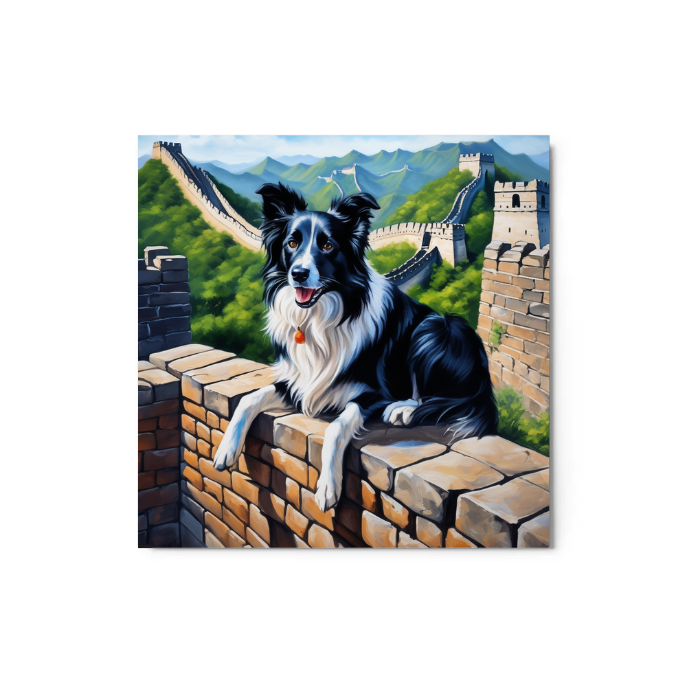 PugMug Custom Border Collie Metal Print