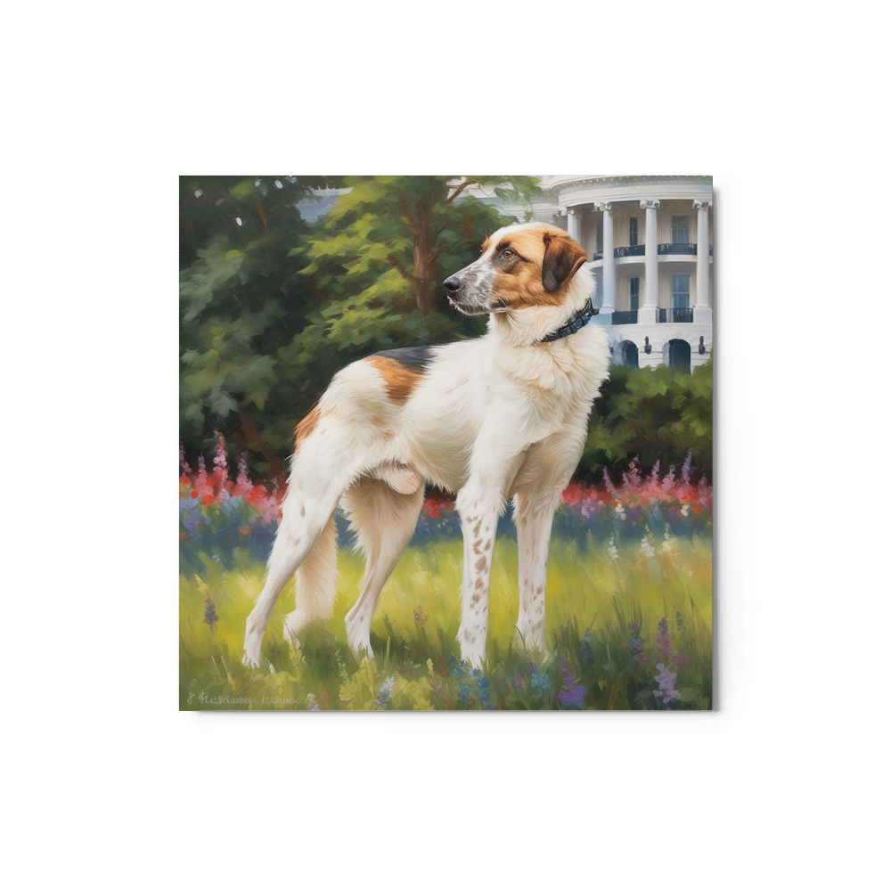 PugMug Custom Hazim Metal Print