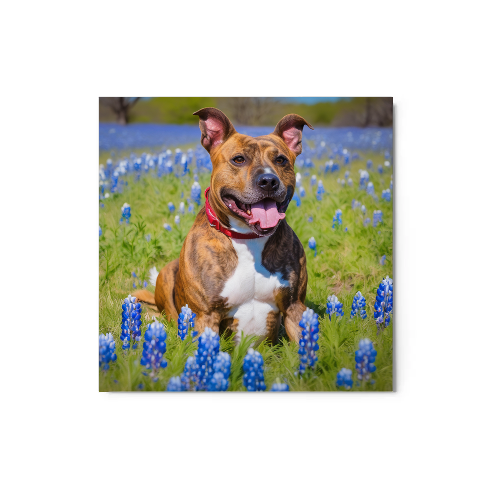 PugMug Custom Tony Hawk Metal Print