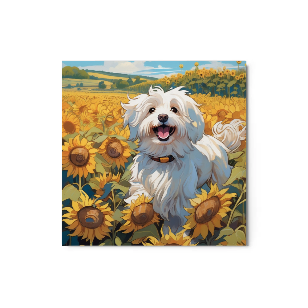 PugMug Custom White Havanese Dog Metal Print