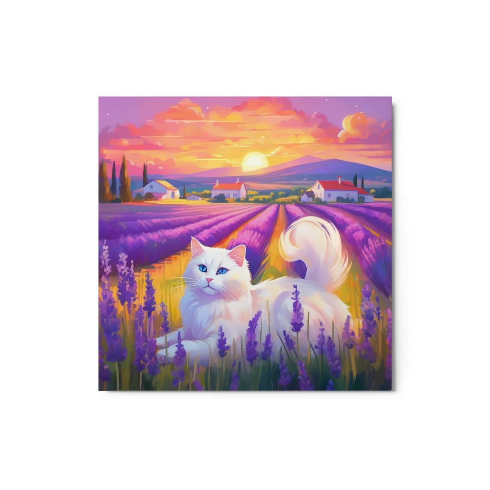 PugMug Custom White Ragdoll Cat Metal Print