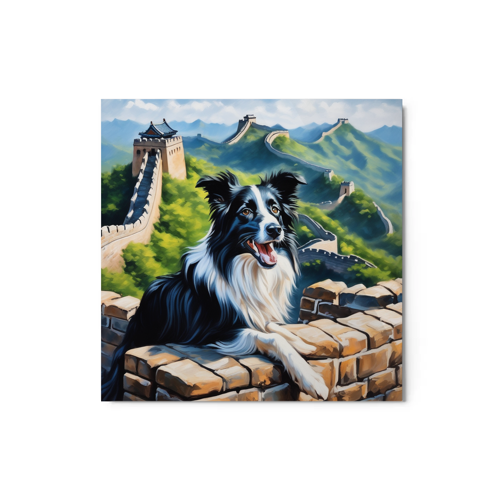 PugMug Custom Border Collie Metal Print