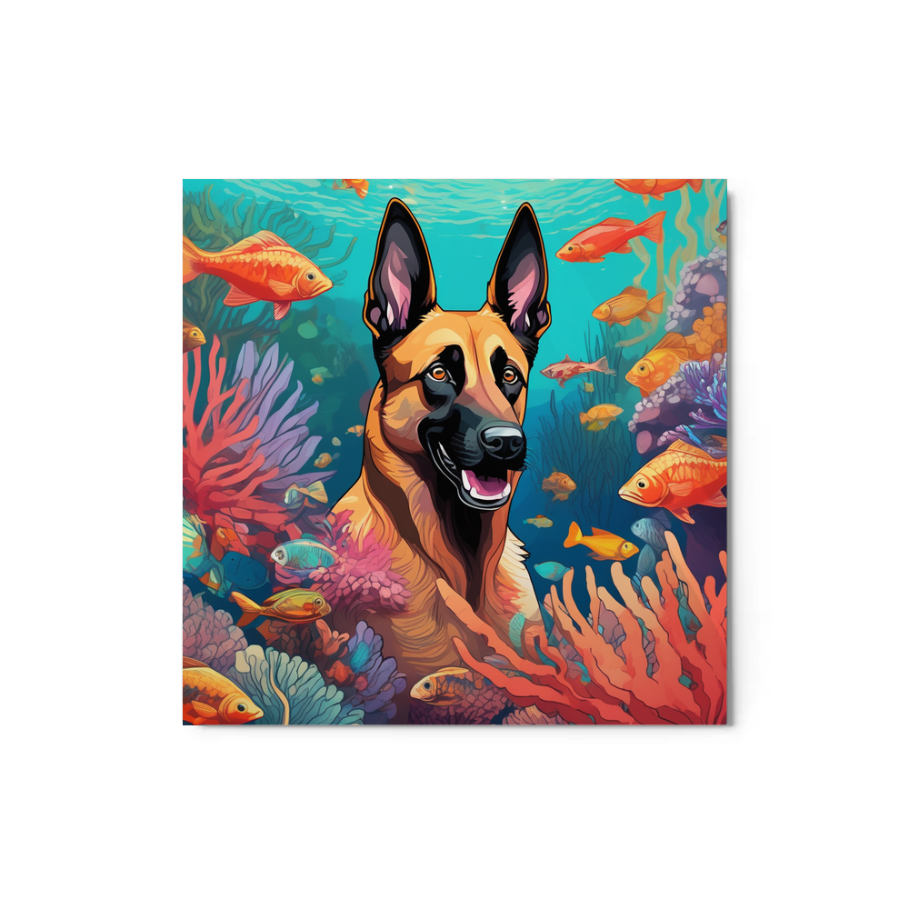 PugMug Custom Belgian Malinois Metal Print