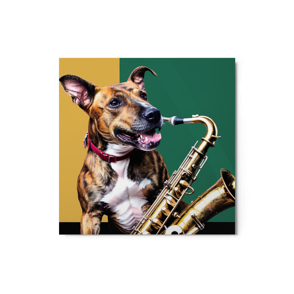 PugMug Custom Tony Hawk Metal Print