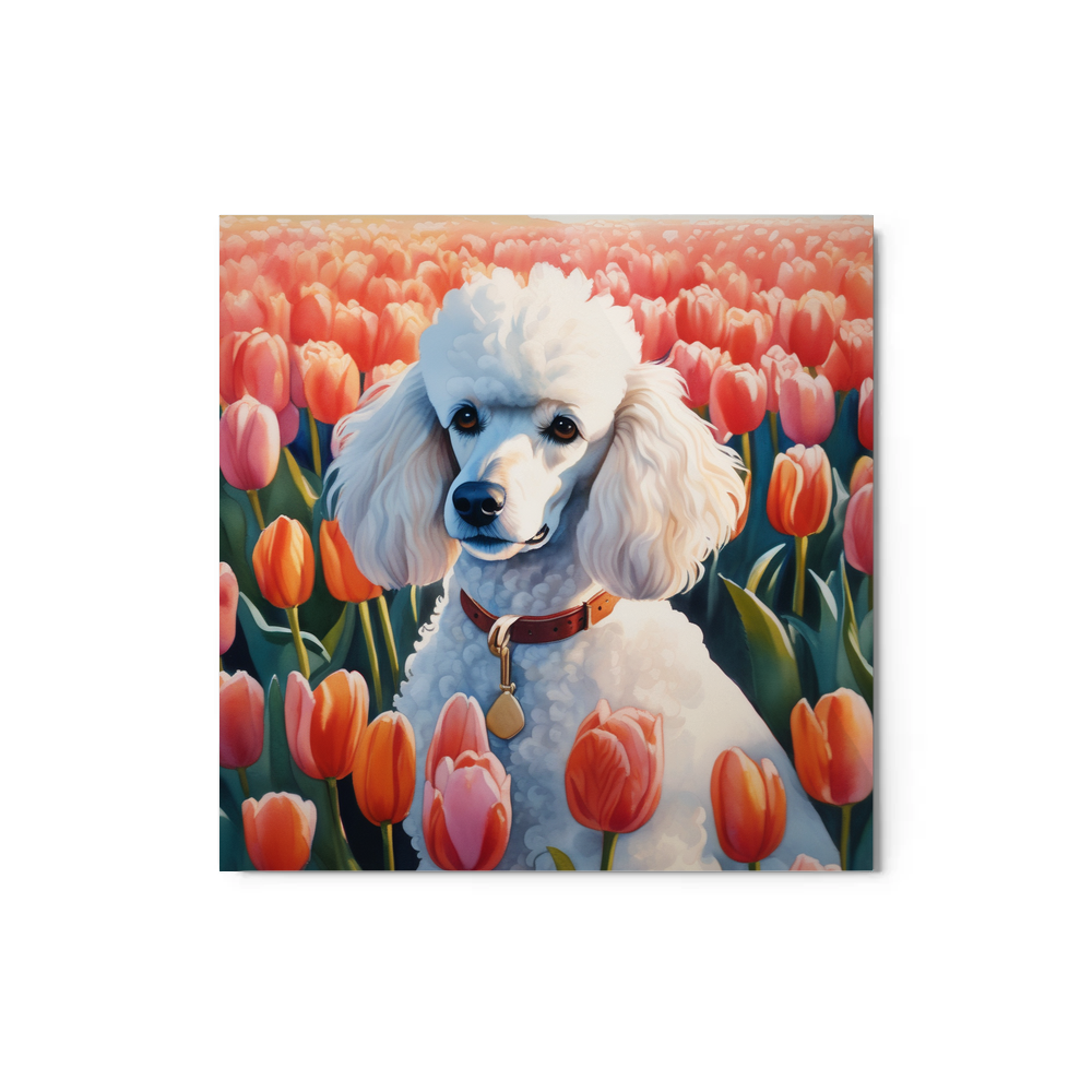 PugMug Custom White Poodle Metal Print