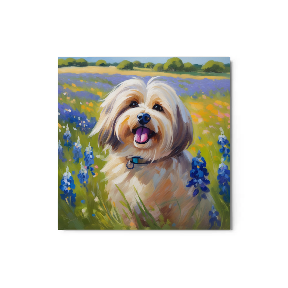 PugMug Custom Tan Havanese Dog Metal Print