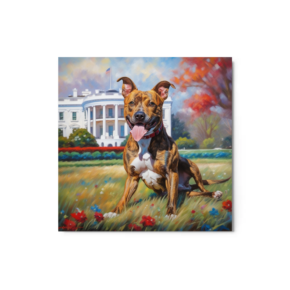 PugMug Custom Tony Hawk Metal Print