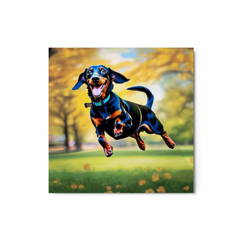 PugMug Custom Black Dachshund Metal Print