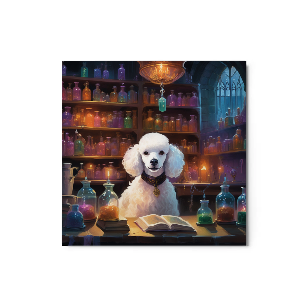 PugMug Custom White Poodle Metal Print