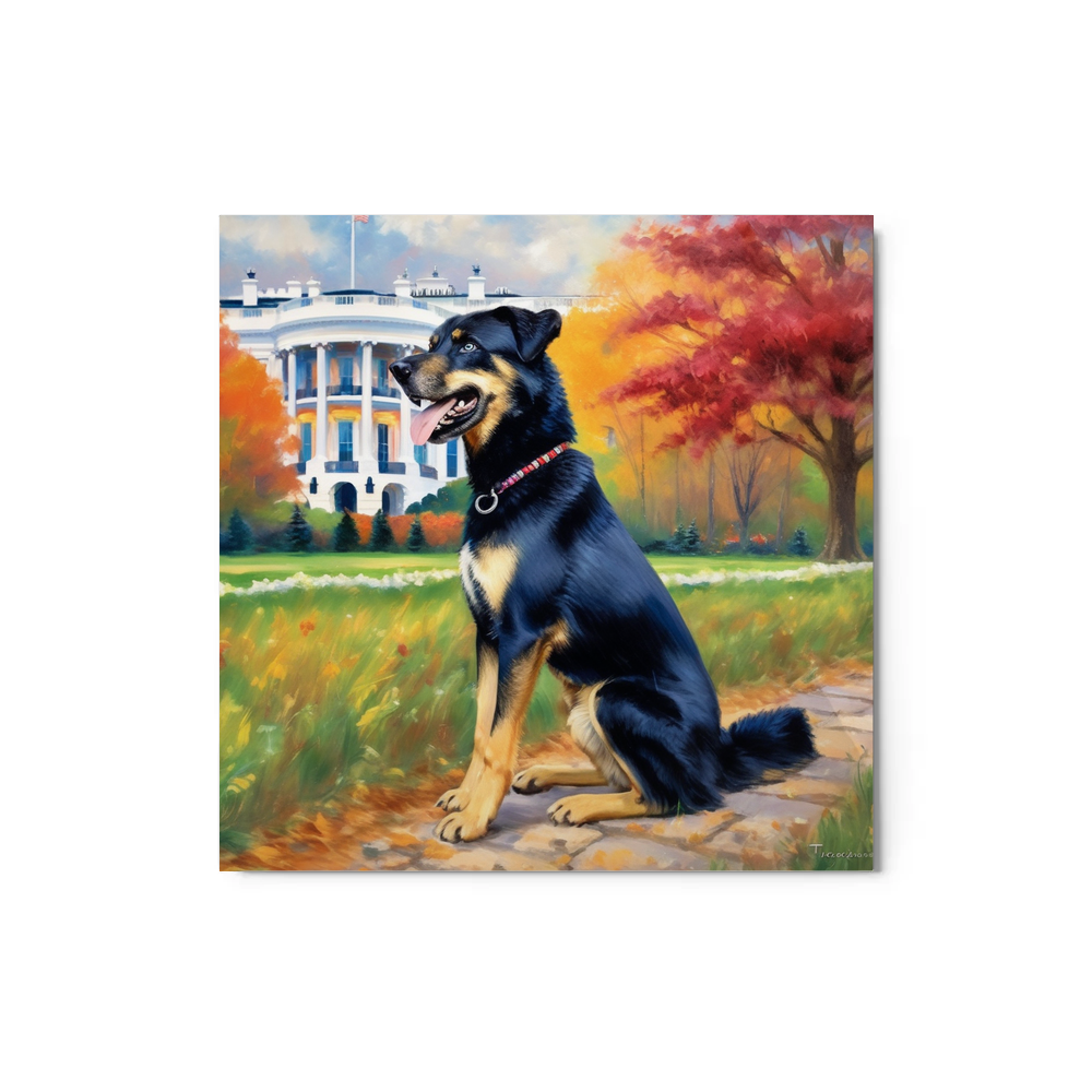 PugMug Custom Blue Metal Print